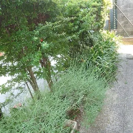 Homestay Didi * Lugano